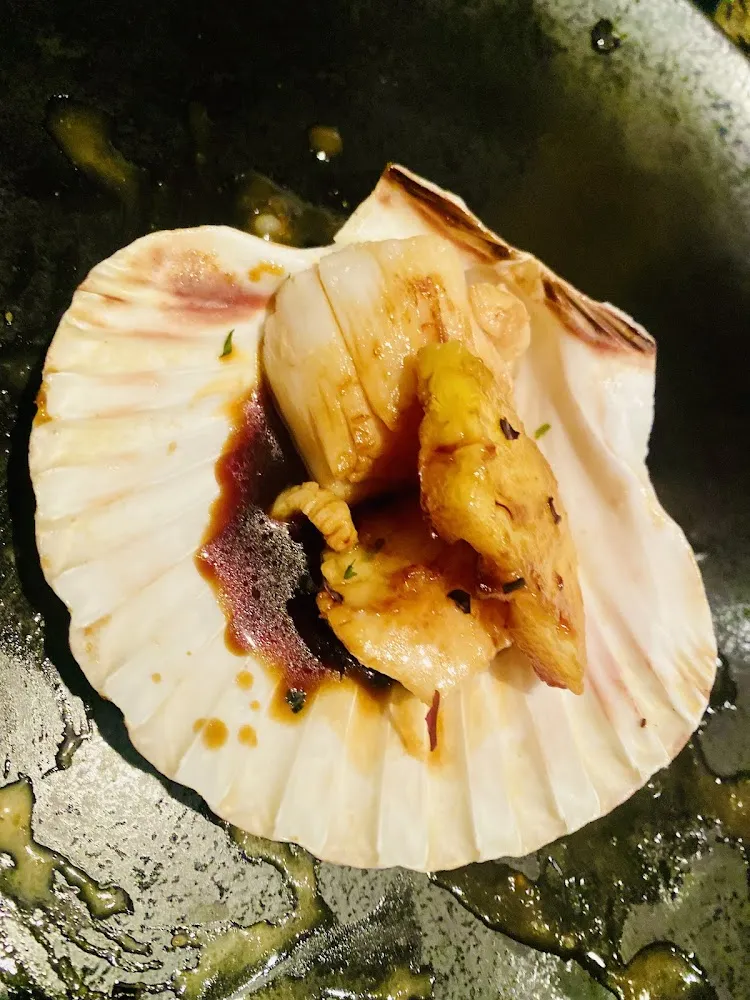 Noix de Saint Jacques